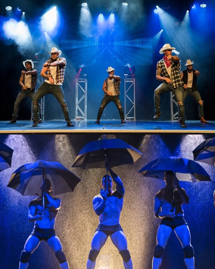 Featured image for “Ultimate Ladies’ Night Out: Sydney Hotshots Live at Wauchope RSL”