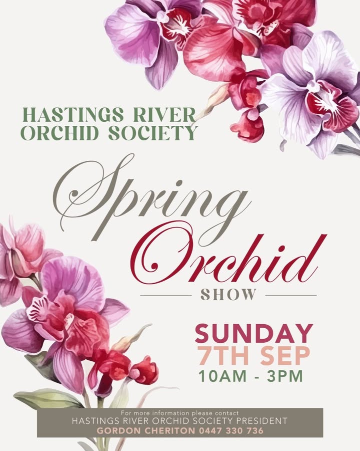Featured image for “Spring Orchid Show Spectacular at Wauchope RSL”