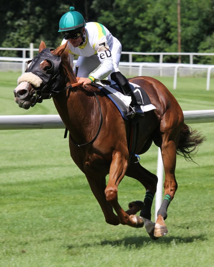 Featured image for “Melbourne Cup Day Luncheon: Celebrate in Style at Wauchope RSL”