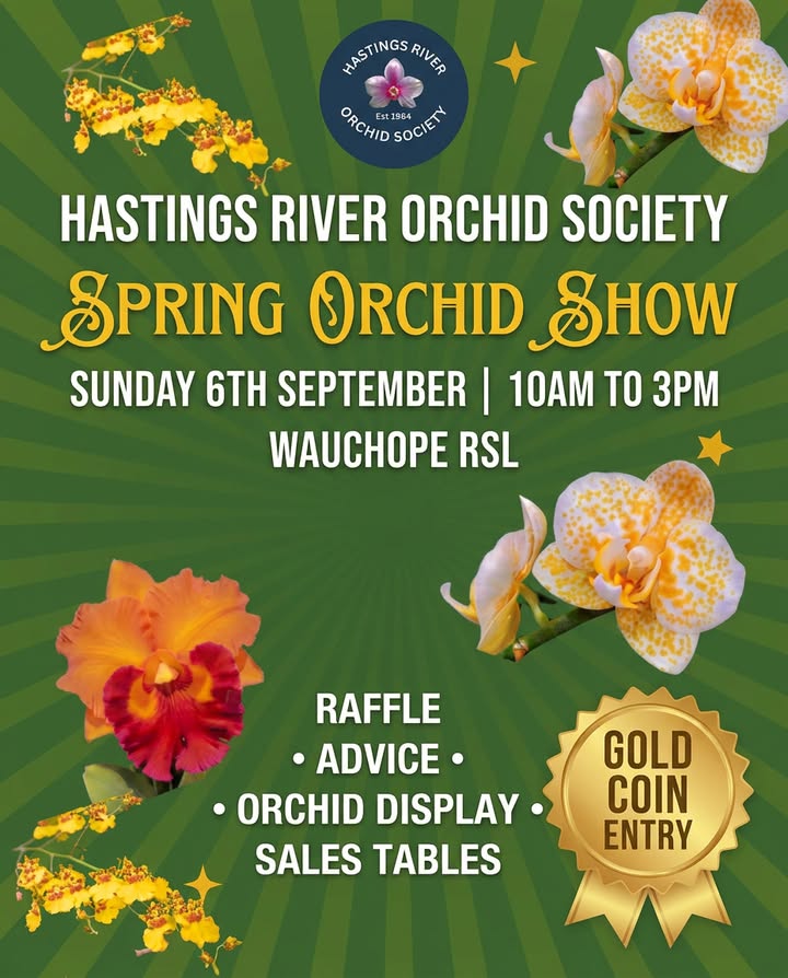 Featured image for “Spring Orchid Show at Wauchope RSL on Father’s Day”